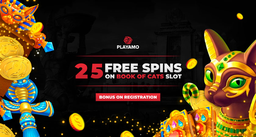 Comment avoir des free spins gratuit ?